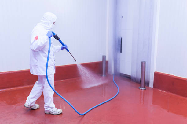 Professional Pressure Washing Services in Ashaway, RI
